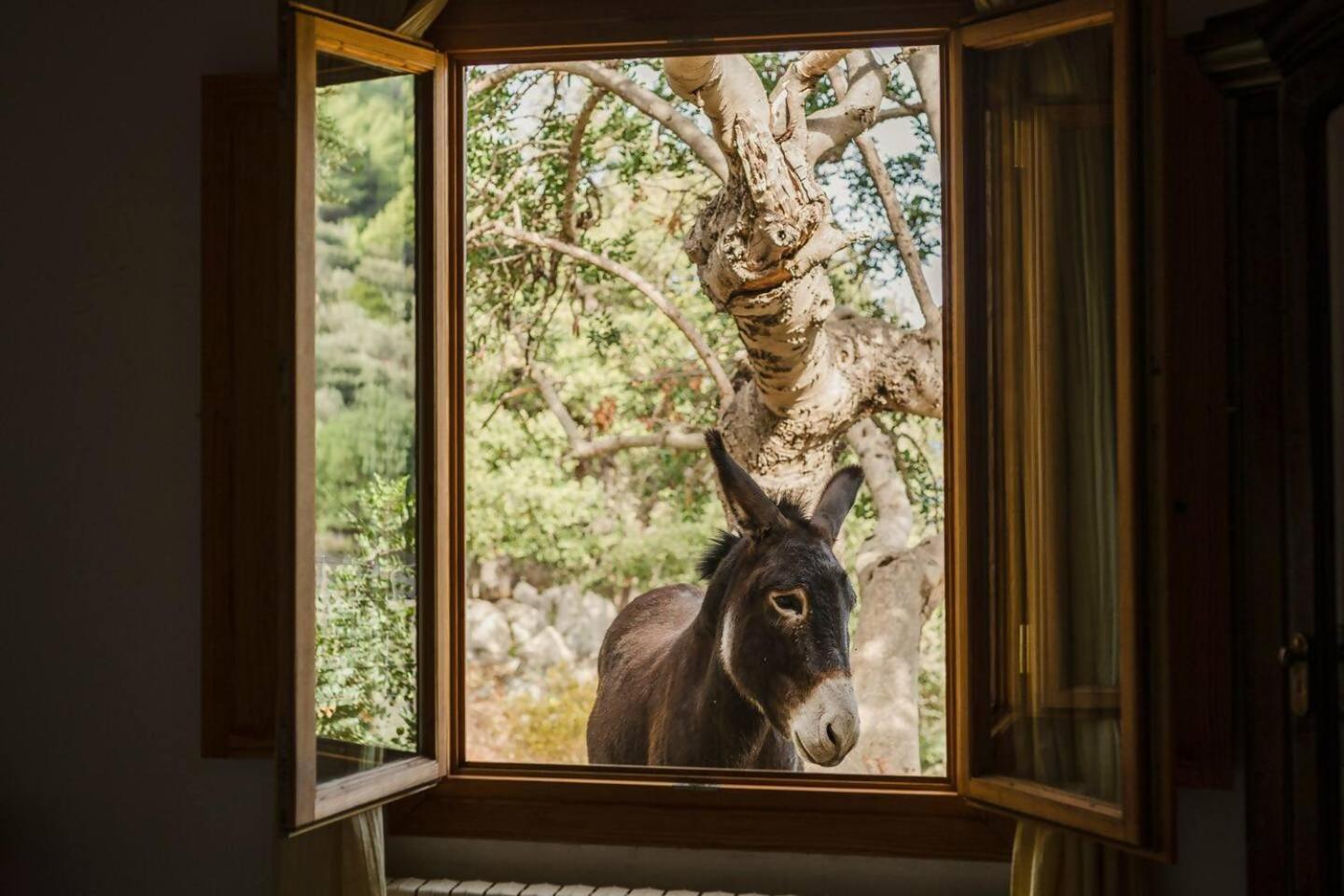 Casa Tramuntana Villa Valldemossa  Room photo