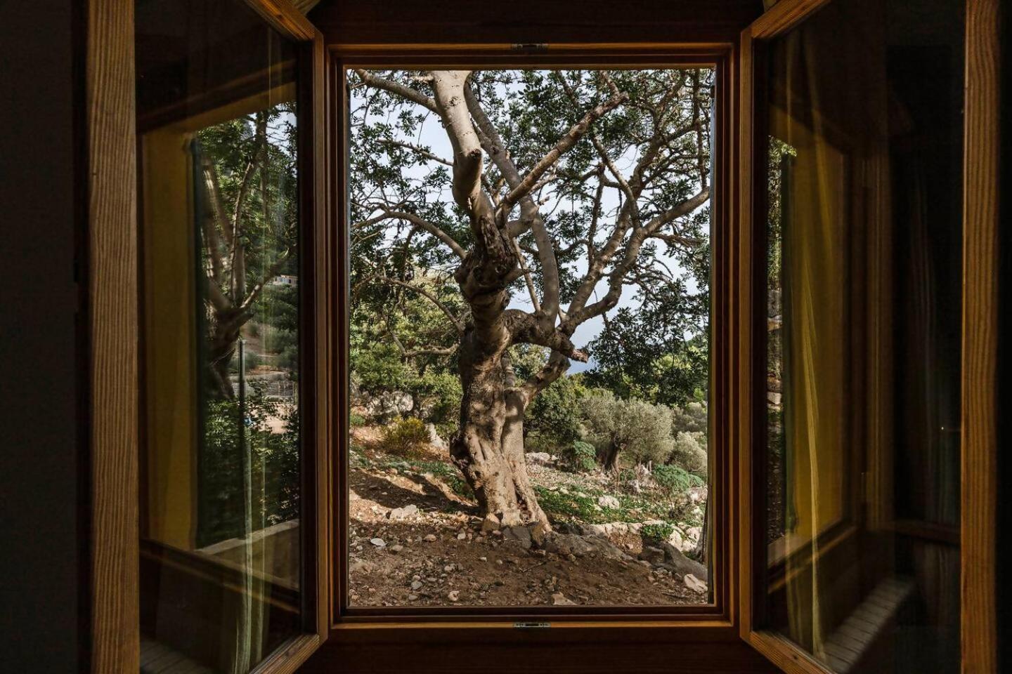 Casa Tramuntana Villa Valldemossa  Room photo